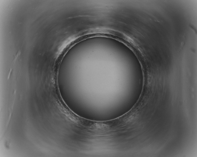 X0000103291312200809051450