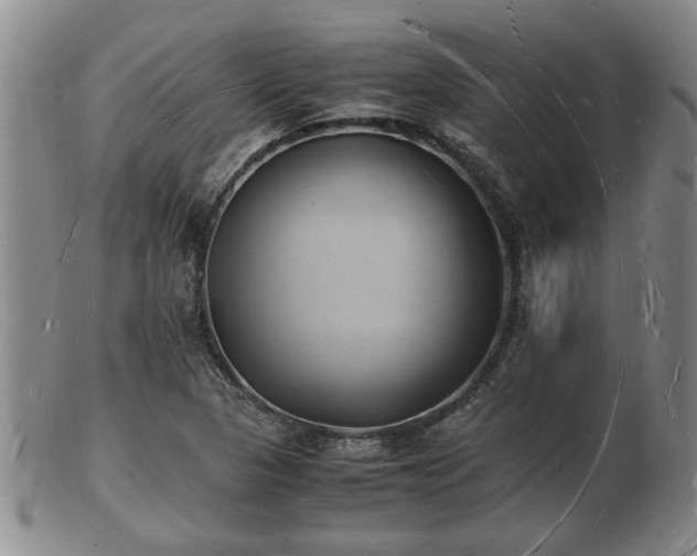 X0000103291313200809051450