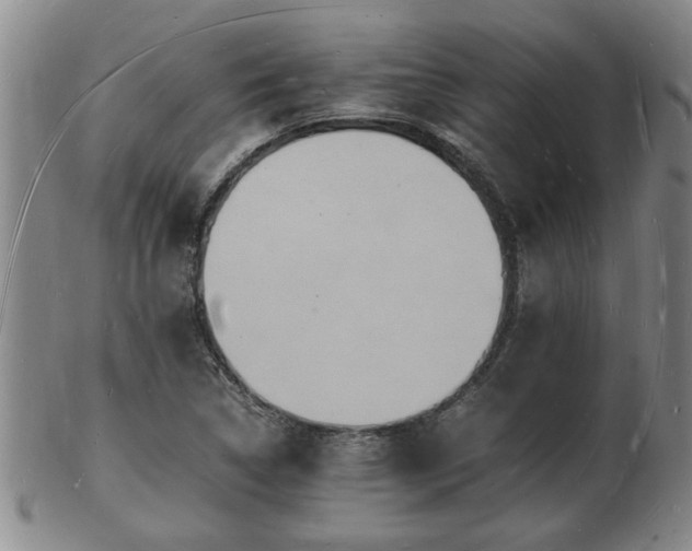 X0000103291314200809051450