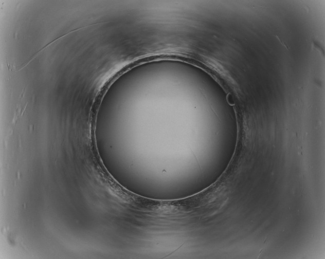 X0000103291316200809051450