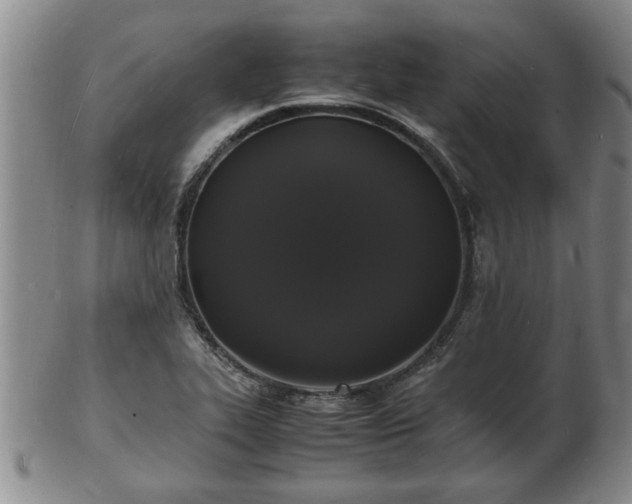 X0000103291319200809051450