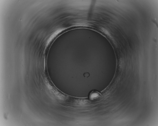 X0000103291323200809051450