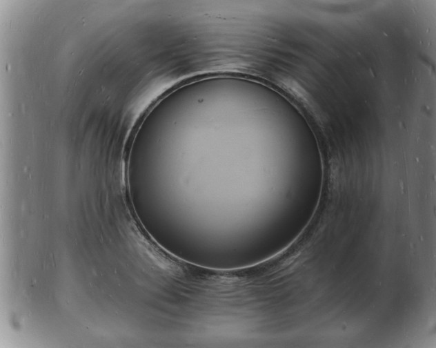 X0000103291324200809051450