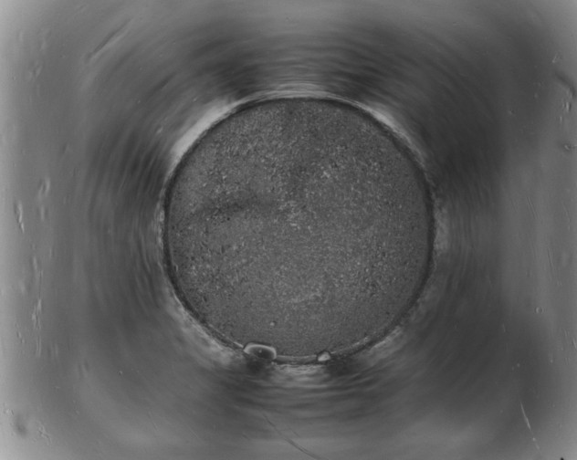 X0000103291325200809051450