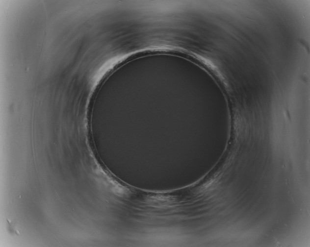 X0000103291327200809051450