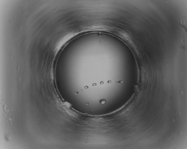 X0000103291328200809051450