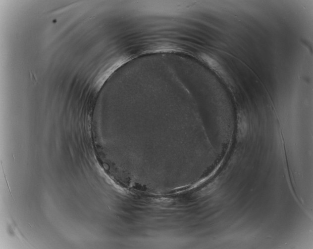 X0000103291329200809051450