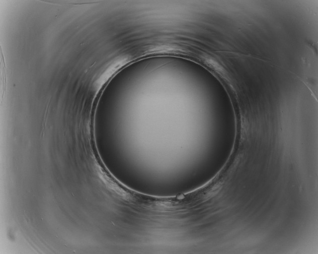 X0000103291330200809051450