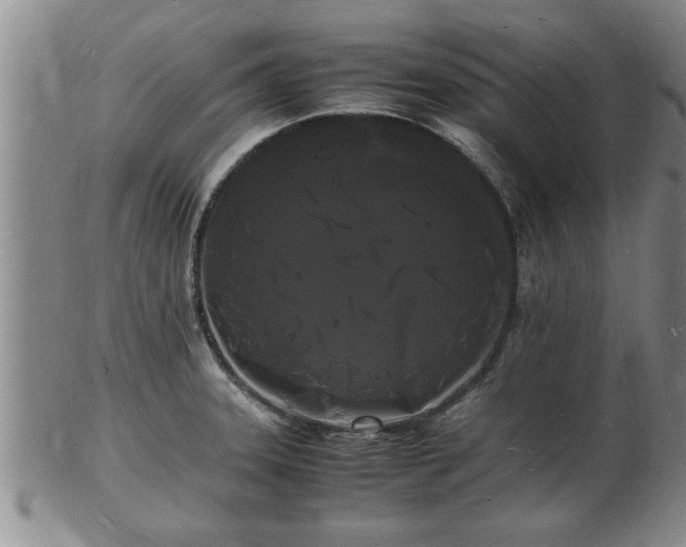 X0000103291331200809051450