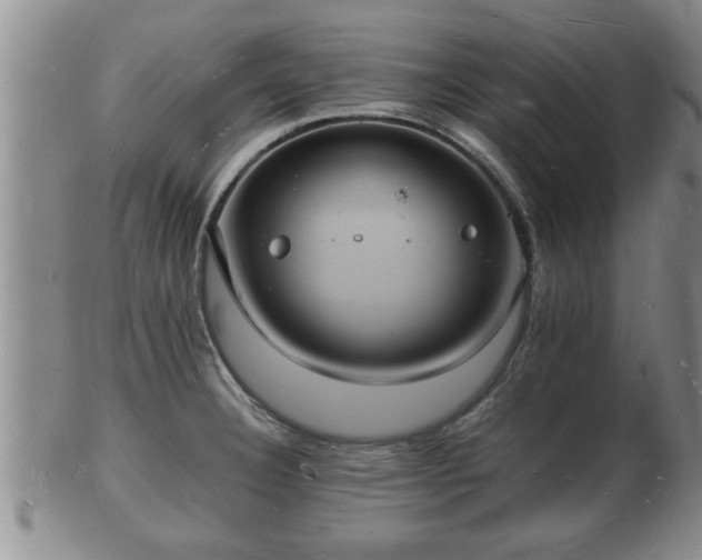 X0000103291332200809051450