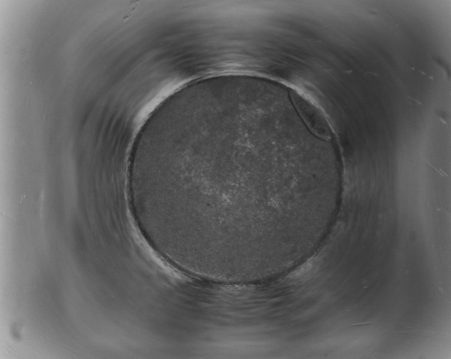 X0000103291333200809051450