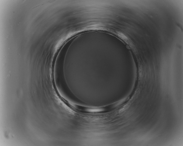 X0000103291334200809051450