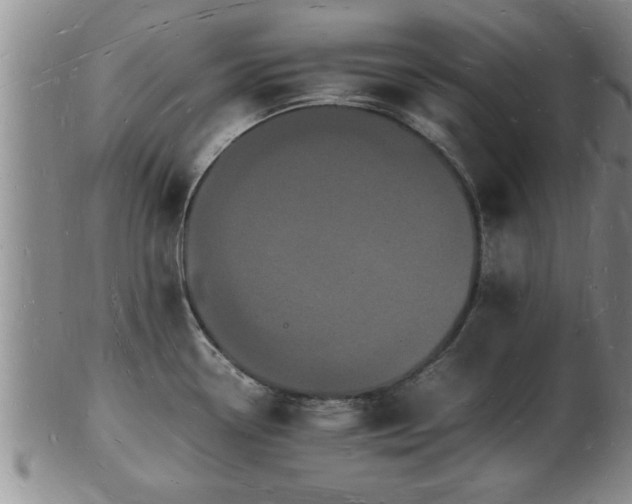 X0000103291338200809051450