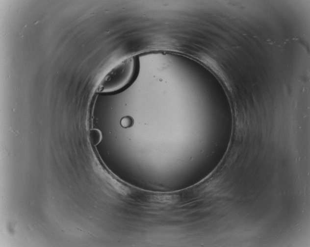 X0000103291339200809051450