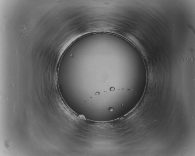 X0000103291340200809051450