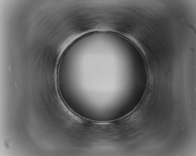 X0000103291343200809051450