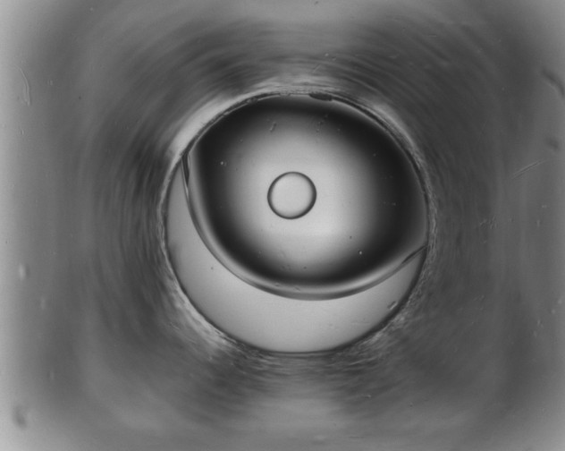 X0000103291344200809051450