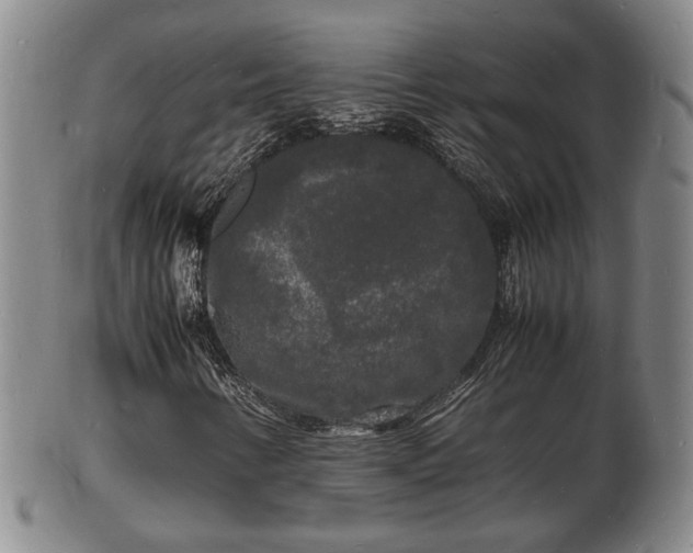 X0000103291346200809051450