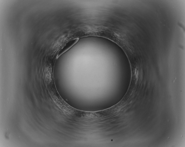 X0000103291348200809051450