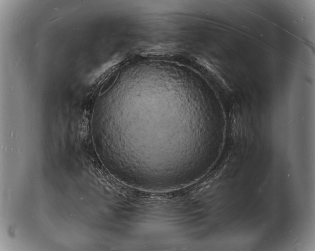 X0000103291350200809051450