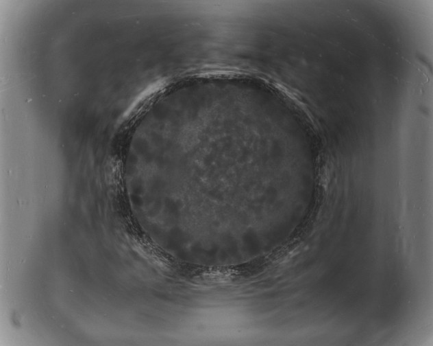 X0000103291351200809051450