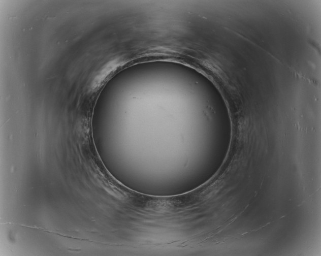 X0000103291355200809051450