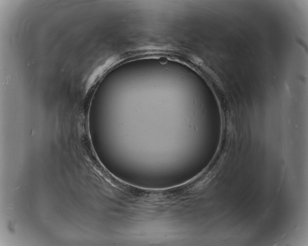 X0000103291357200809051450