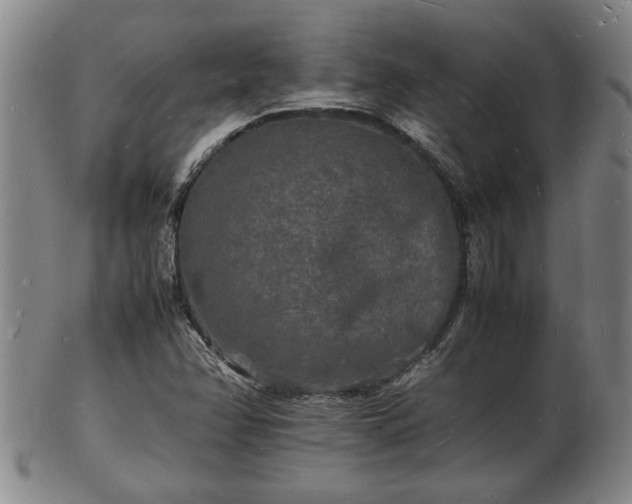 X0000103291358200809051450