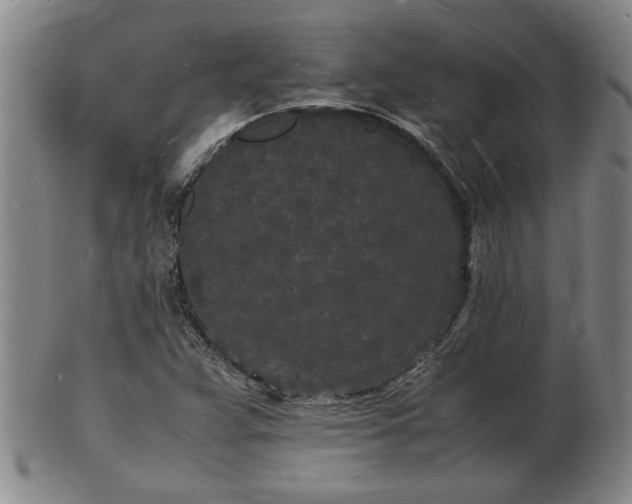 X0000103291359200809051450