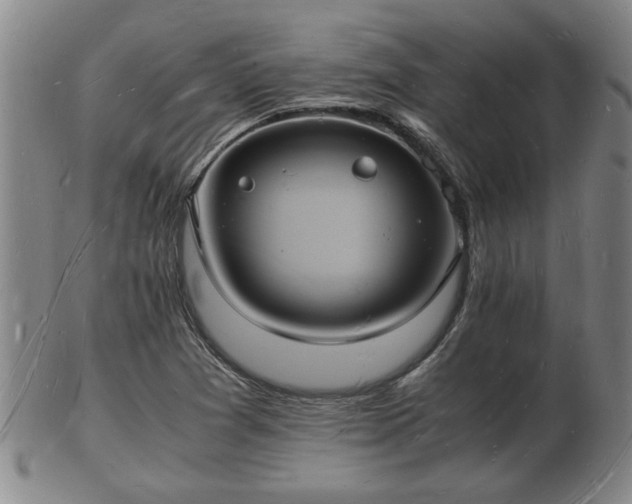 X0000103291361200809051450