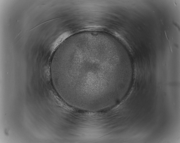 X0000103291362200809051450