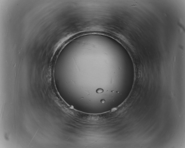 X0000103291364200809051449