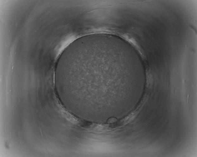 X0000103291365200809051449