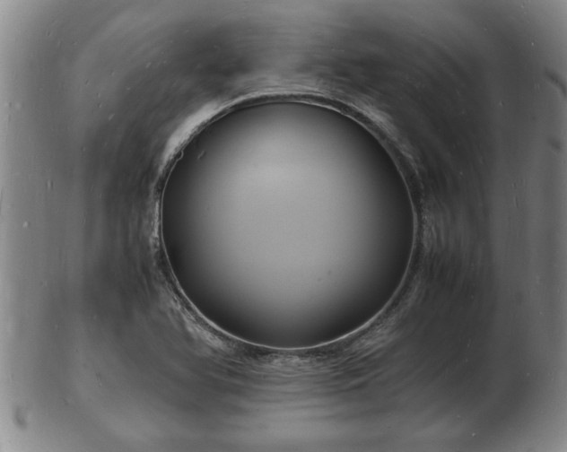 X0000103291366200809051449