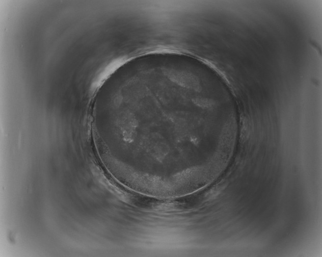 X0000103291367200809051449