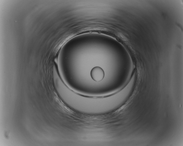 X0000103291369200809051449