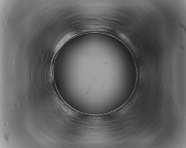 X0000103291370200809051449