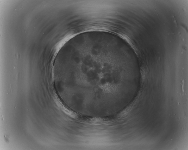 X0000103291371200809051449