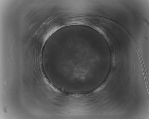 X0000103291373200809051449