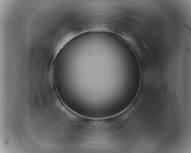 X0000103291374200809051449