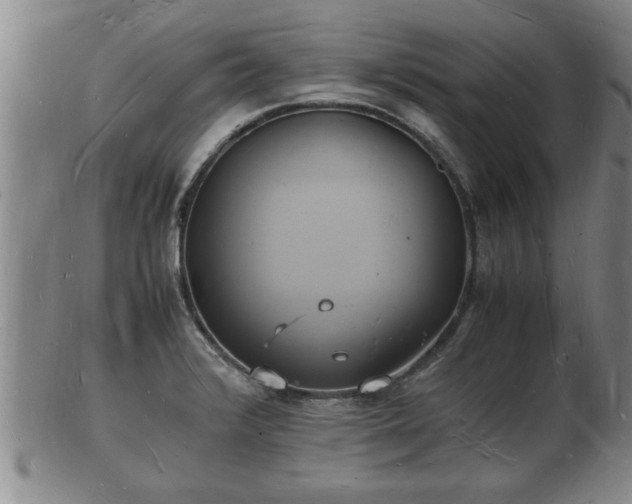 X0000103291376200809051449