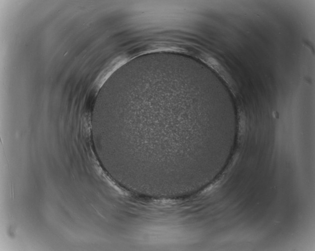 X0000103291377200809051449