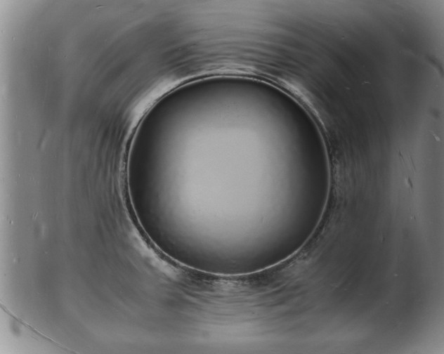 X0000103291379200809051449