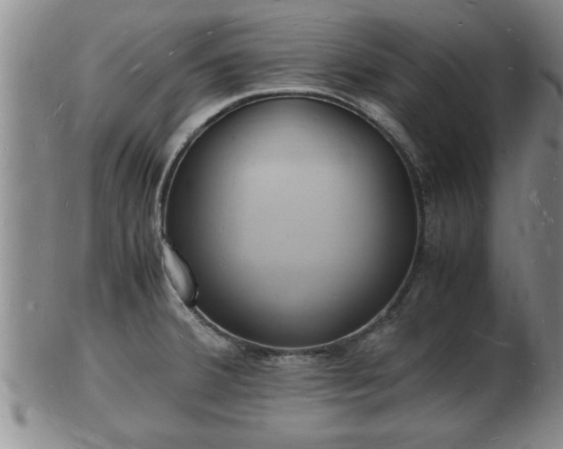 X0000103291380200809051449