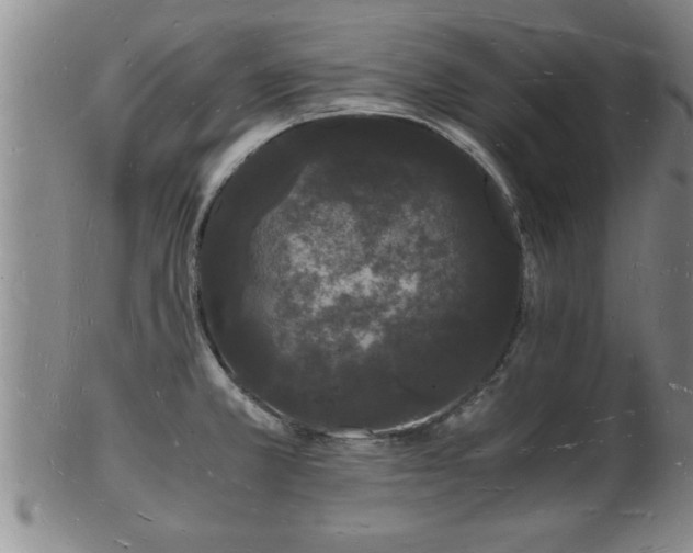 X0000103291381200809051449