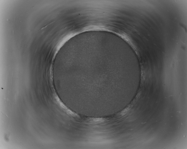 X0000103291382200809051449