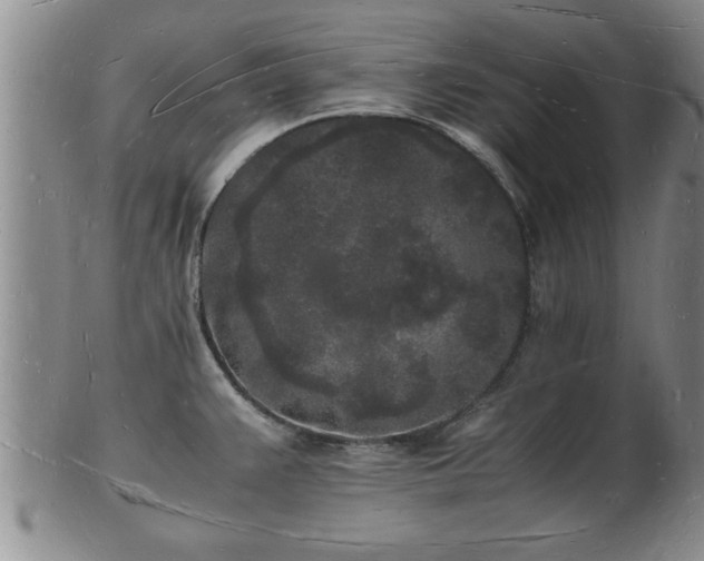 X0000103291383200809051449