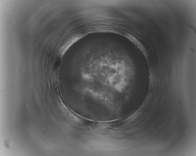 X0000103291385200809051449