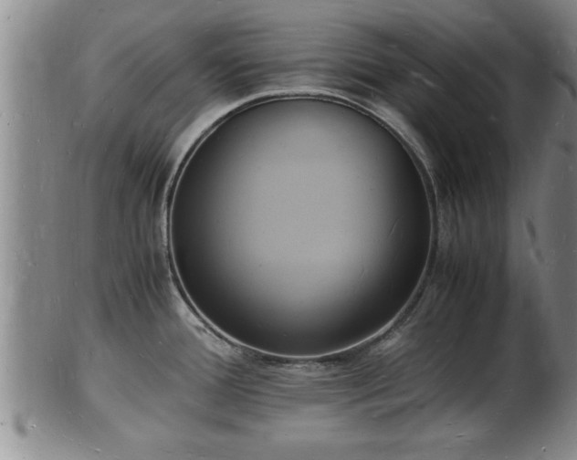 X0000103291388200809051449