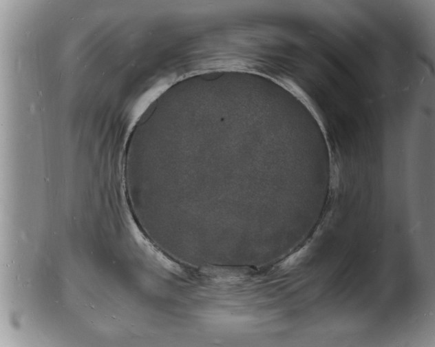 X0000103291389200809051449